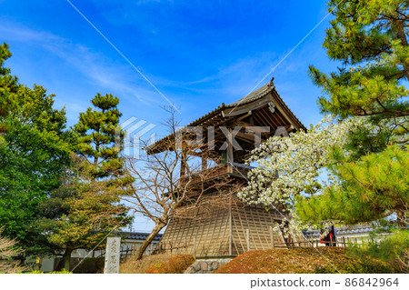 Gyoda City, Saitama Prefecture, the bell of Oshi Castle and the cherry blossoms in full bloom Gyoda City, Saitama Prefecture, the bell of Oshi Castle and the cherry blossoms in full bloom 86842964