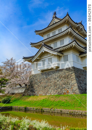 Gyoda City, Saitama Prefecture, Oshi Castle and cherry blossoms in full bloom Gyoda City, Saitama Prefecture, Oshi Castle and cherry blossoms in full bloom 86842978