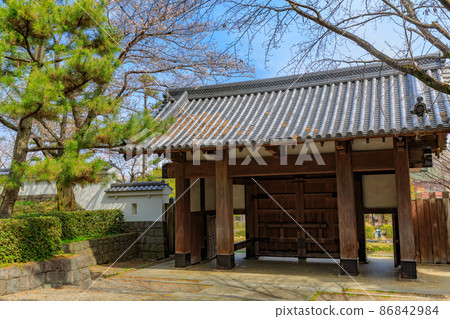 Gyoda City, Saitama Prefecture, Oshi Castle's Koryomon and cherry blossoms in full bloom 86842984
