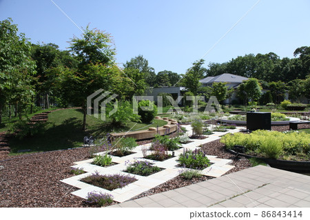 Gardens and restaurants_Hakodate Onuma 86843414