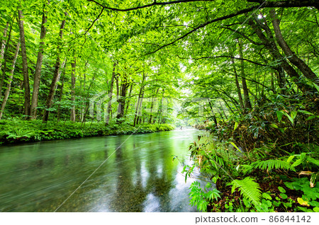 Towada City, Aomori Prefecture Summer Oirase Gorge-Around Ishigedo- 86844142