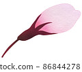 櫻花芽 86844278