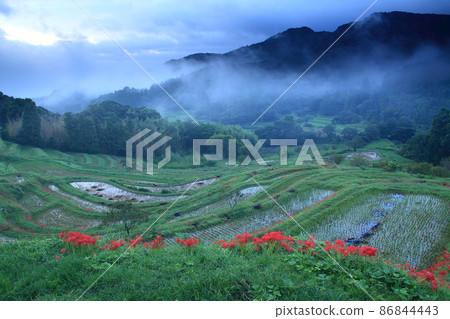 Rice terraces Rice terraces 86844443