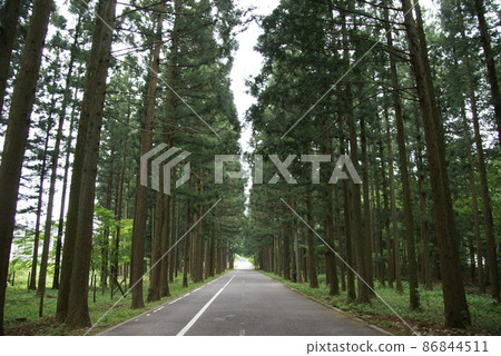 一條筆直的路 一條筆直的路 86844511