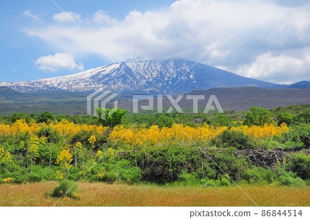 View of Etna volcano from the train window. Sicily. View of Etna volcano from the train window. Sicily. 86844514