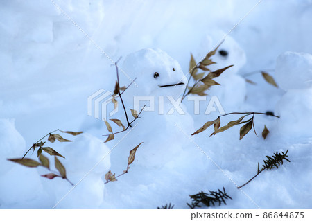 Cute snowman _3 Cute snowman _3 86844875