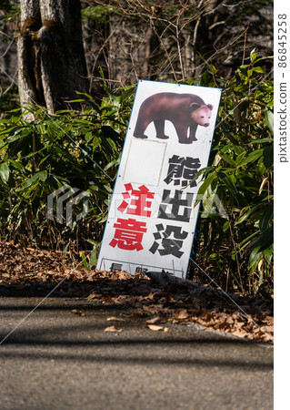 [長野縣]戶隱神社奧社熊出沒標誌 86845258