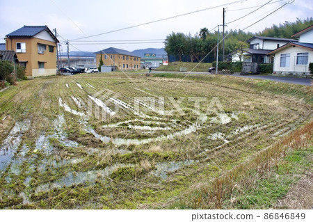 郊區住宅區附近的一小塊稻田 郊區住宅區附近的一小塊稻田 86846849