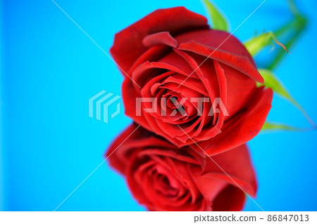 Beautiful roses on the mirror 4 86847013