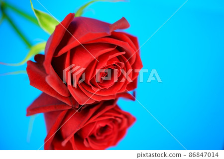 Beautiful roses on the mirror 6 Beautiful roses on the mirror 6 86847014