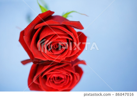 Beautiful roses on the mirror 9 Beautiful roses on the mirror 9 86847016