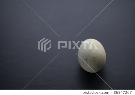 中餐世紀蛋 86847267