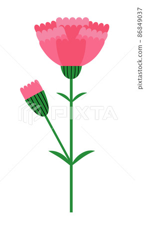 Vector illustration of a simple pink carnation - Stock Illustration ...