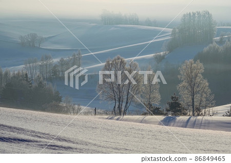 被晨霧包圍的寒冷的美瑛之丘（北海道美瑛町） 86849465