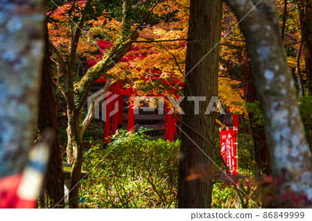 Muramatsu, Fukuroi City, Shizuoka Prefecture Yusanji Temple Late Autumn Scenery Muramatsu, Fukuroi City, Shizuoka Prefecture Yusanji Temple Late Autumn Scenery 86849999