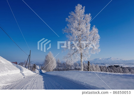 Eight views of Kamifurano with beautiful hoarfrost, Jet Coaster Road (Kamifurano Town, Hokkaido) Eight views of Kamifurano with beautiful hoarfrost, Jet Coaster Road (Kamifurano Town, Hokkaido) 86850053