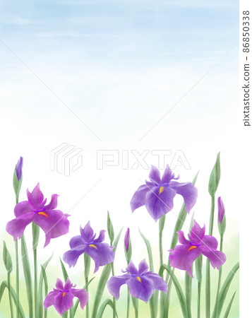 藍天和鳶尾花的逼真水彩背景圖 藍天和鳶尾花的逼真水彩背景圖 86850338