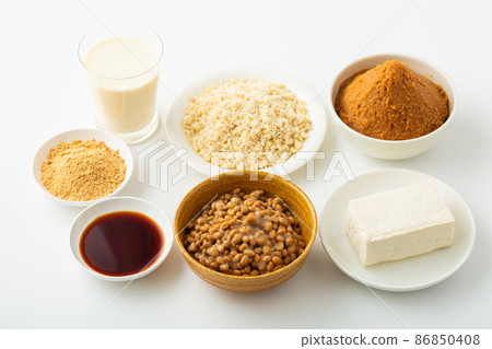 Fermented soybean food 86850408