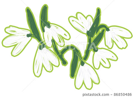 Snowdrops. Background with spring wildflowers. Digital illustration Snowdrops. Background with spring wildflowers. Digital illustration 86850486