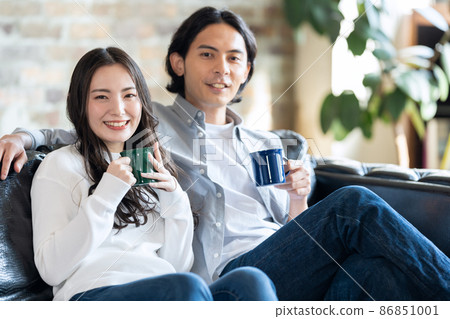 已婚夫婦，家庭，生活方式，客廳 86851001