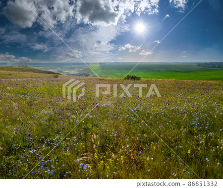 Wild flowers in steppe and blue sky Wild flowers in steppe and blue sky 86851332