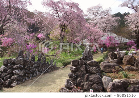 花寺流水院 86851510