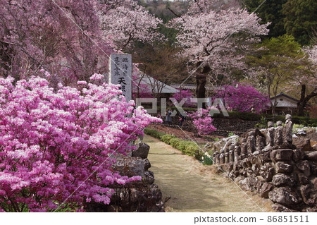 花寺流水院 花寺流水院 86851511