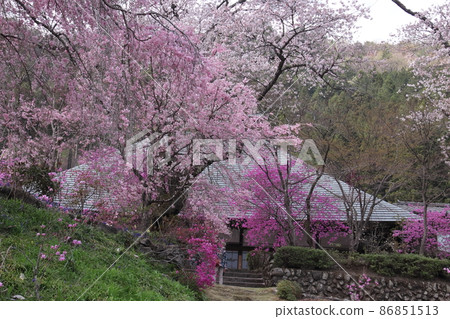 花寺流水院 86851513