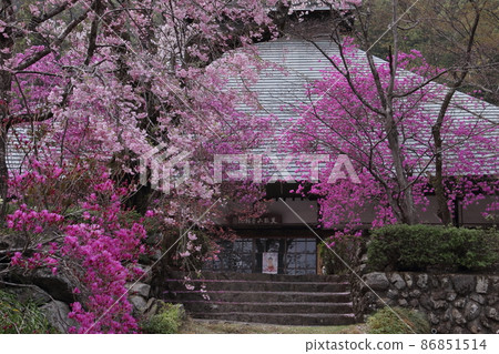 花寺流水院 86851514
