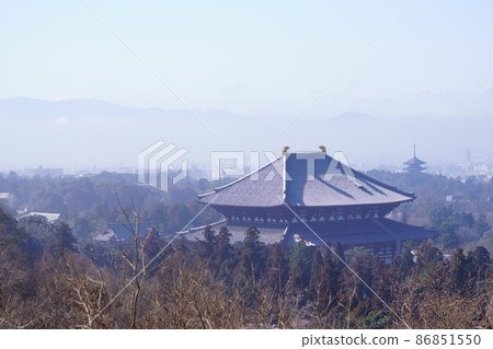 冬日晨霧中的東大寺 4 冬日晨霧中的東大寺 4 86851550