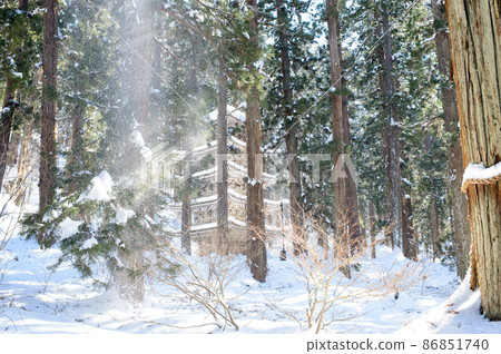 在陽光明媚的冬季雪景山形縣的羽黑山五層塔 在陽光明媚的冬季雪景山形縣的羽黑山五層塔 86851740