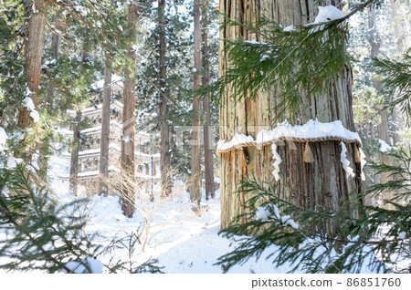 Haguroyama in winter sunny Jijisugi and five-storied pagoda Yamagata Prefecture 86851760