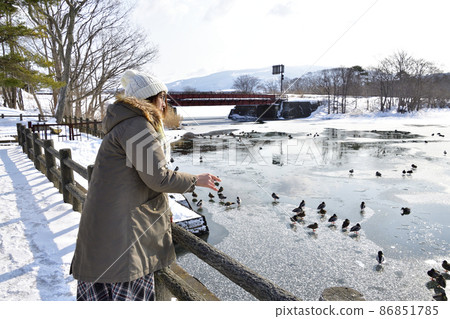 Taking a portrait of a woman and a snow scene at Onuma Park in Nanae Town, Hokkaido in winter 86851785
