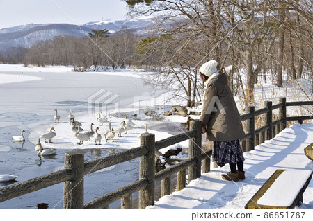 冬季在北海道七飯町的大沼公園拍攝女人和雪景 86851787