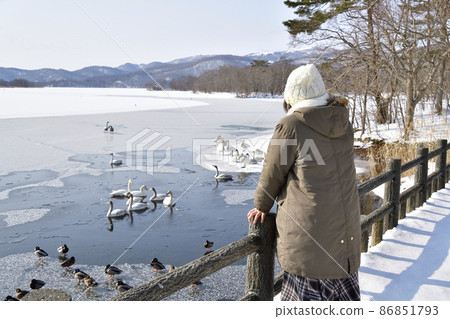 冬季在北海道七飯町的大沼公園拍攝女人和雪景 86851793