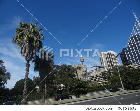 Scenery of Sydney 86852632
