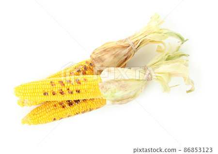 Tasty grilled corn isolated on white background Tasty grilled corn isolated on white background 86853123
