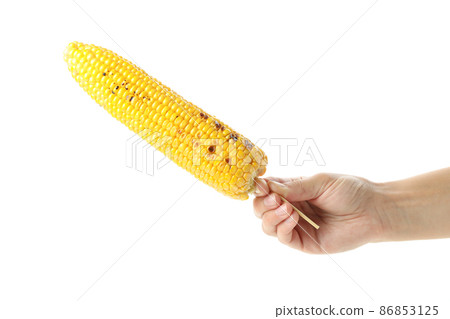 Female hand holds grilled corn, isolated on white background Female hand holds grilled corn, isolated on white background 86853125
