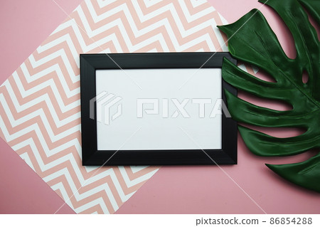 Monstera leaves summer minimal background with mock up space copy on pink background Monstera leaves summer minimal background with mock up space copy on pink background 86854288