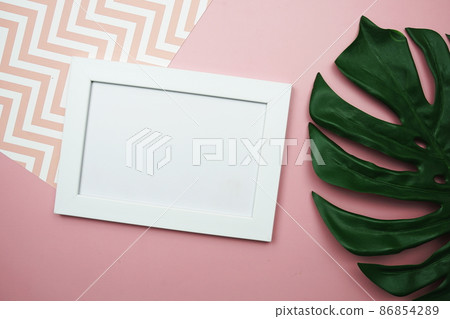 Monstera leaves summer minimal background with mock up space copy on pink background Monstera leaves summer minimal background with mock up space copy on pink background 86854289