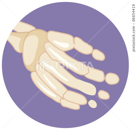 Hand bone in cartoon style Hand bone in cartoon style 86854419