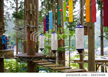 Activities in the forest 86854486