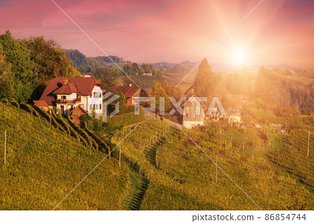 Wine road, Maribor, Slovenia Wine road, Maribor, Slovenia 86854744