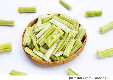 Moringa oleifera on white background. Moringa oleifera on white background. 86855189