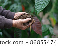 Woman's hands growing plant and adding fertile soil to the plant 86855474