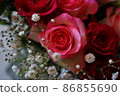 rose	 86855690
