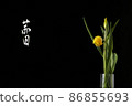 Flowers 86855693