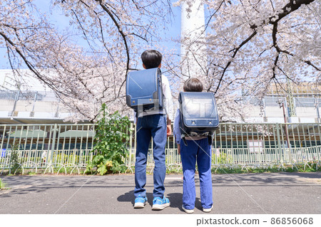 Rear view of two elementary school students with different heights 86856068