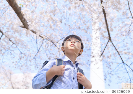抬頭看櫻花的小學生 86856069