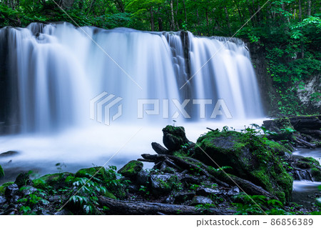 [Aomori Prefecture_Oirase River] Choshi Falls in early summer, June 86856389